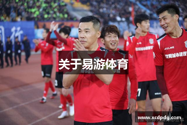 关于易游体育